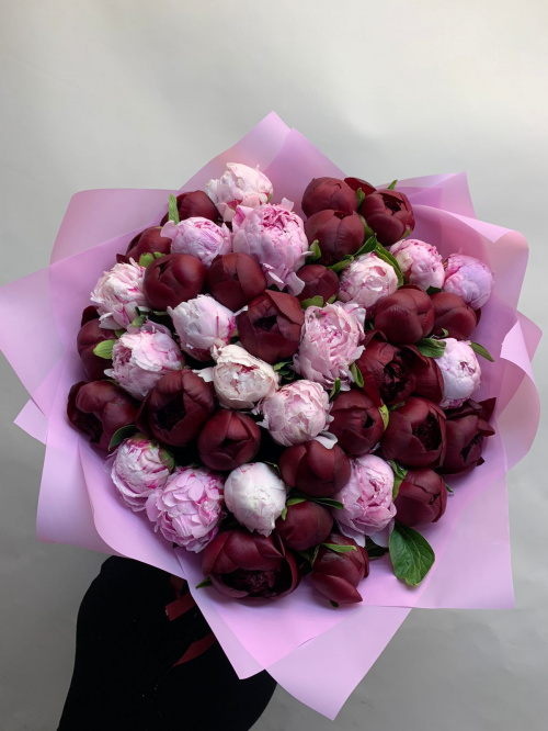 51 розовый и бордовый пион