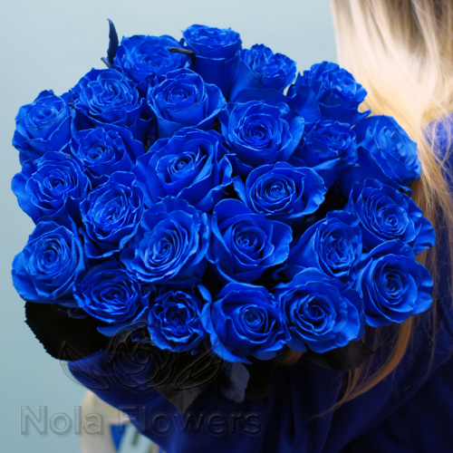 35 синих роз (Эквадор)