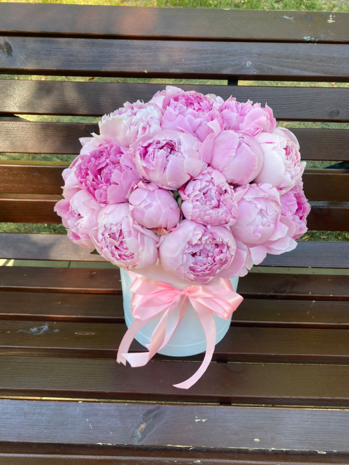 25 пионов Сара Бернар в коробке