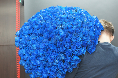 251 синяя роза