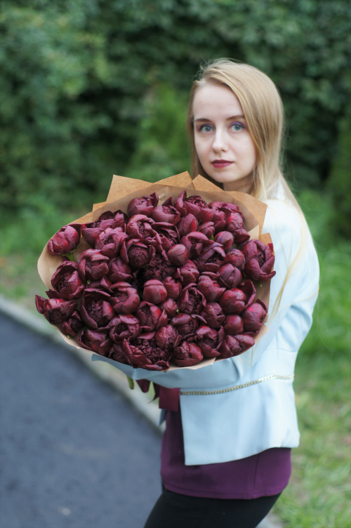 51 красный пион