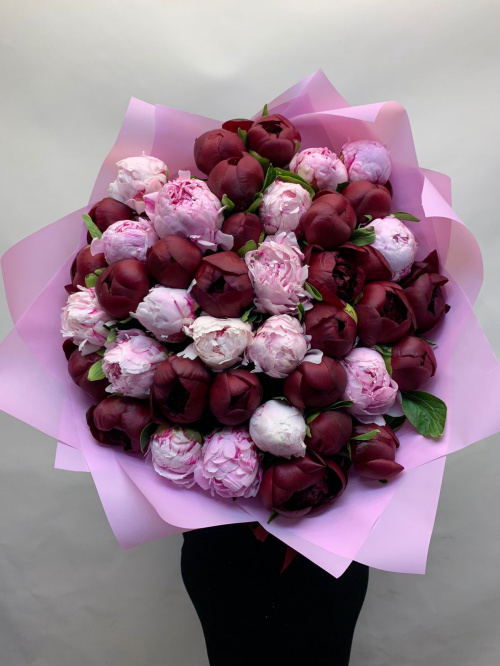 51 розовый и бордовый пион