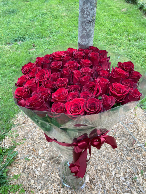 51 гигантская красная роза