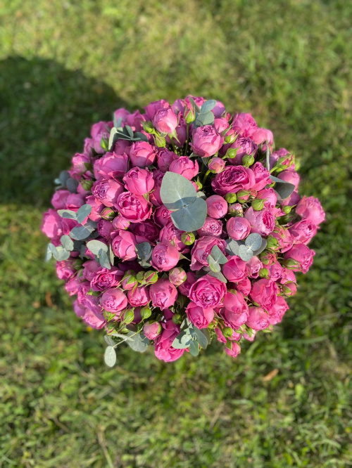 Коробка кустовых пионовидных роз Мисти Баблс