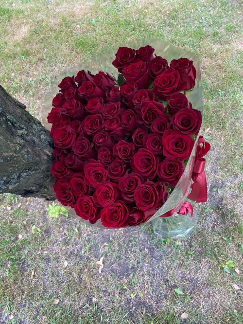 51 гигантская красная роза