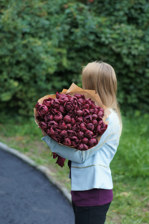 51 красный пион