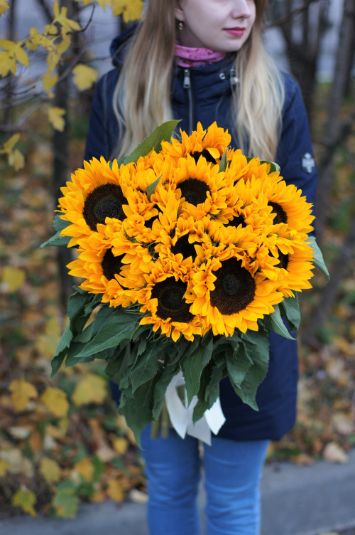 13 подсолнухов