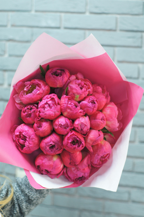 21 коралловый пион