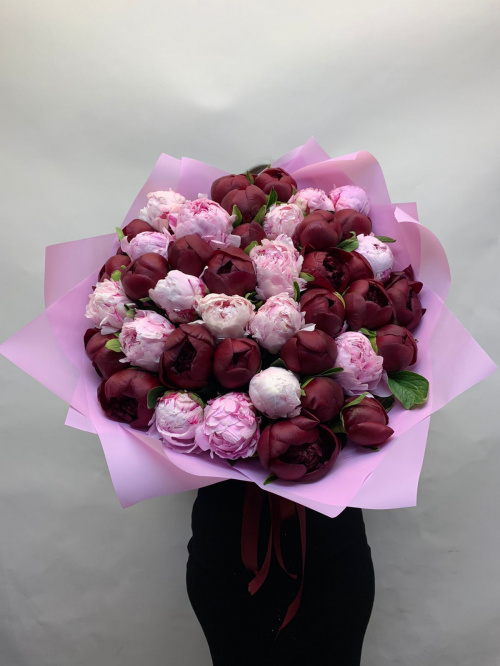 51 розовый и бордовый пион