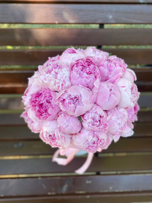 25 пионов Сара Бернар в коробке