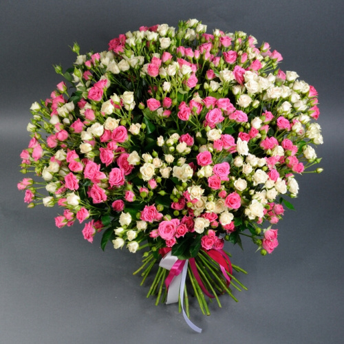 51 белая и розовая кустовая роза