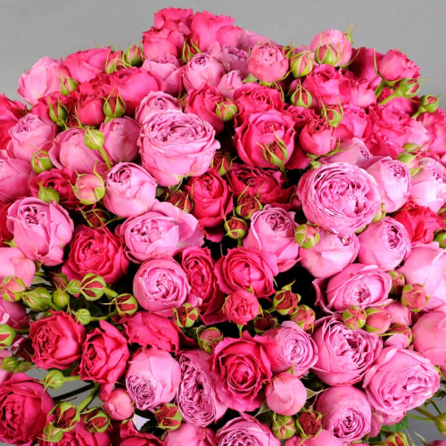 31 кустовая роза микс Баблс