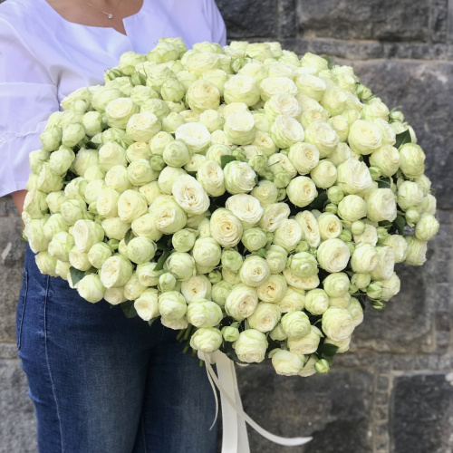 51 белоснежная кустовая роза