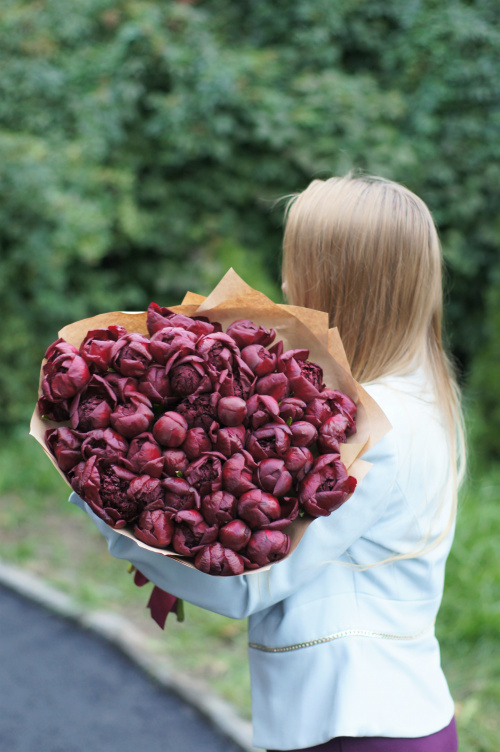 51 красный пион