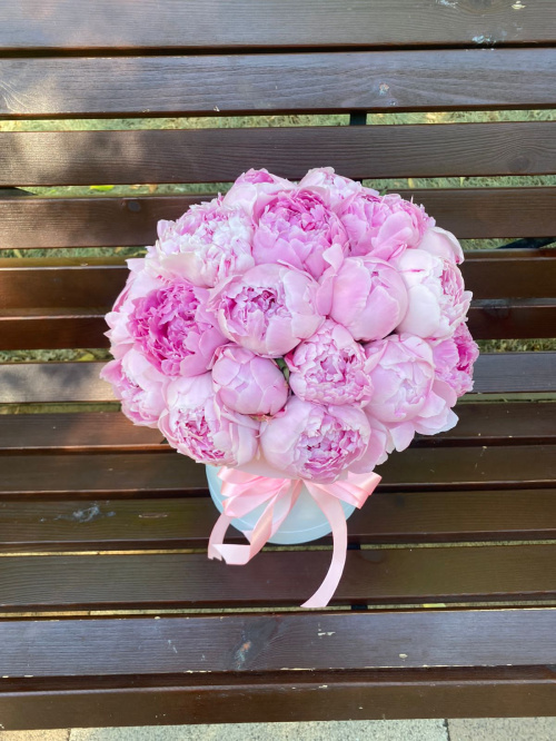 25 пионов Сара Бернар в коробке