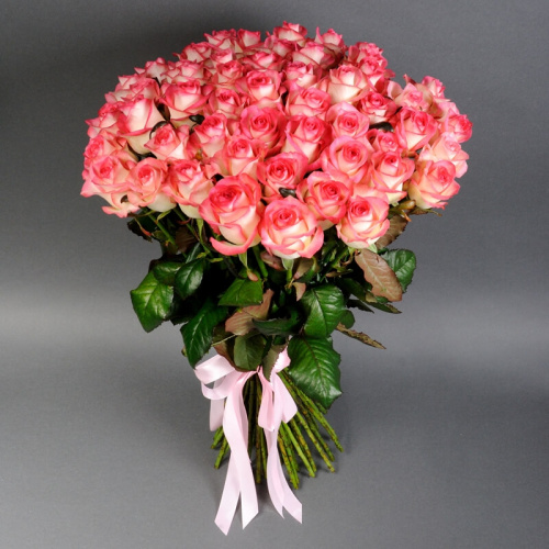 51 розовая роза Джумилия