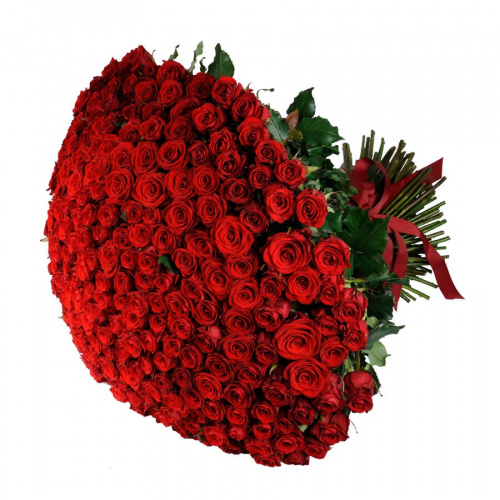 251 красная роза