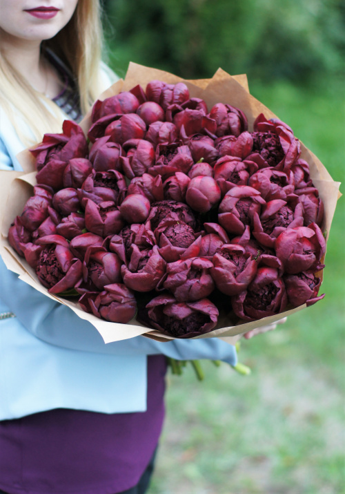 51 красный пион