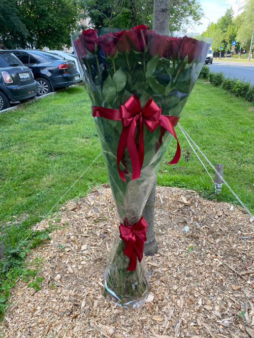 51 гигантская красная роза