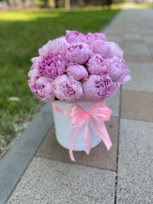 25 пионов Сара Бернар в коробке