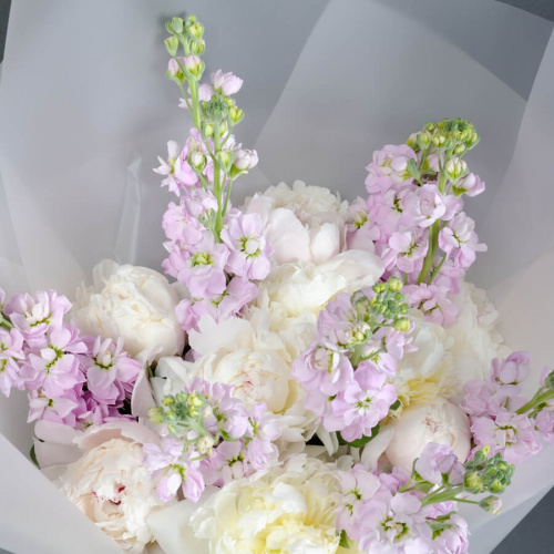 Белые пионы с маттиолой