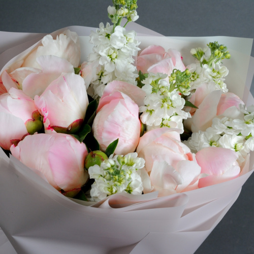 11 пионов с маттиолой