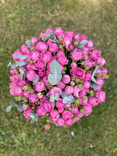 Коробка кустовых пионовидных роз Мисти Баблс