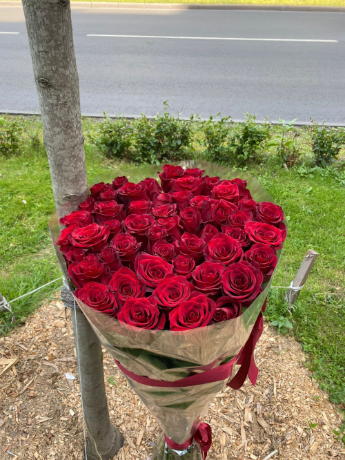 51 гигантская красная роза