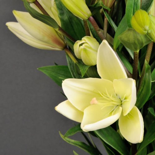 11 белых лилий