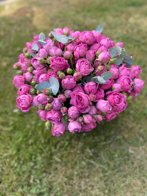 Коробка кустовых пионовидных роз Мисти Баблс