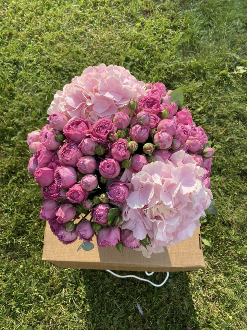 Коробка Мисти Баблс с гортензиями