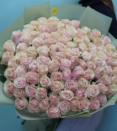 101 розовая роза (Эквадор)