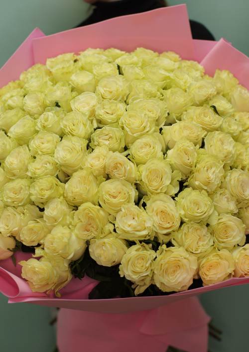 101 белая роза (Эквадор)