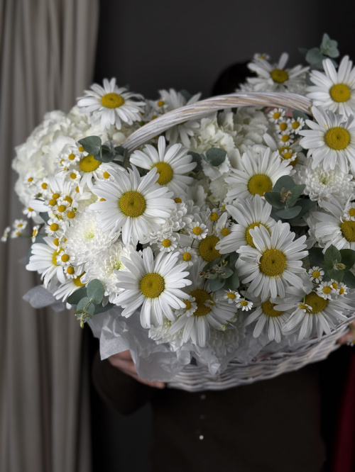 Композиция № 169