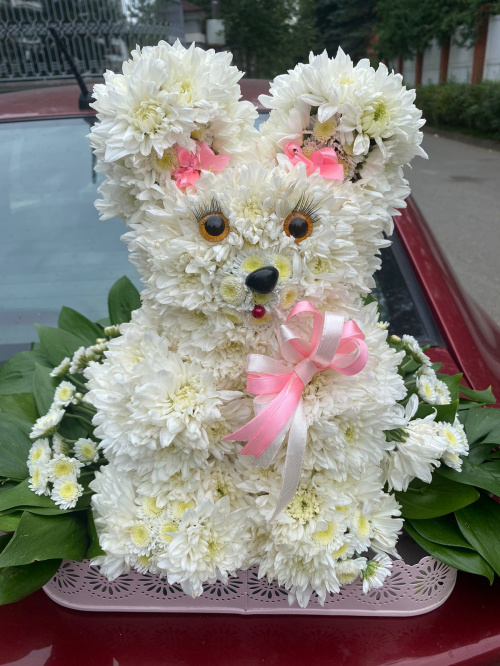 Белый зайка