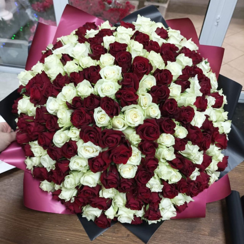 201 красная и белая роза (Кения)