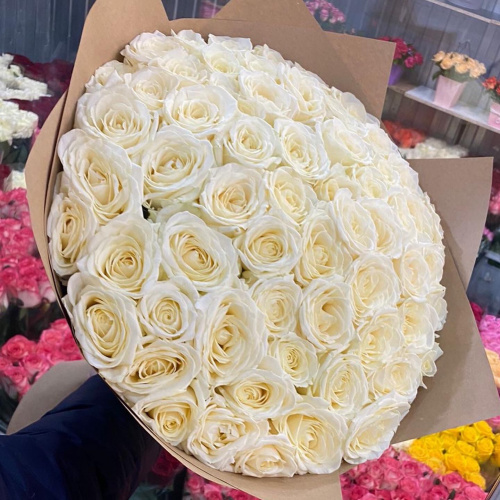 51 белая роза