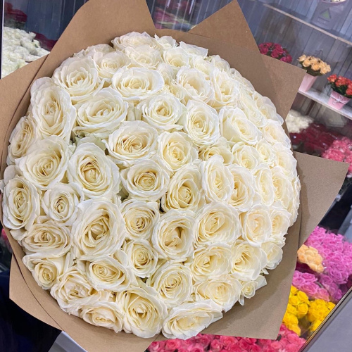 51 белая роза