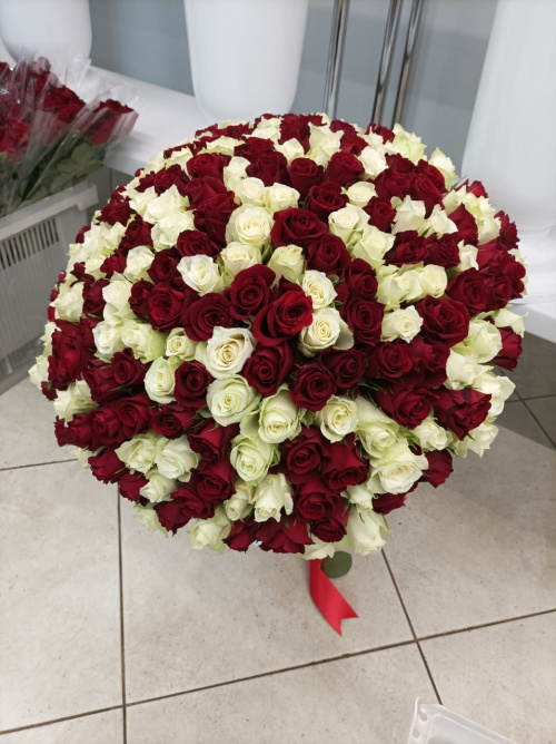 201 красная и белая роза (Кения)