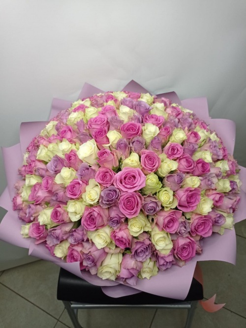 201 лиловая, розовая и оранжевая роза (Кения)