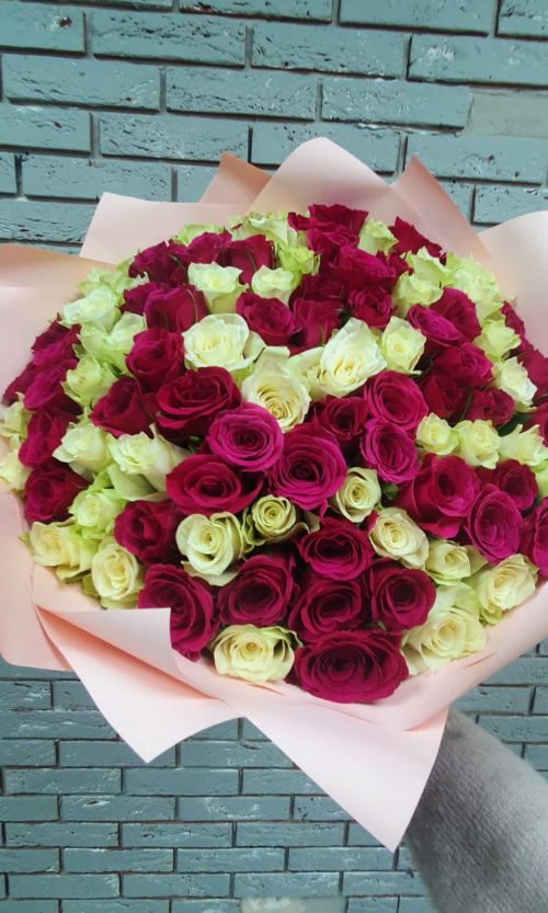 101 белая и малиновая роза (Кения)