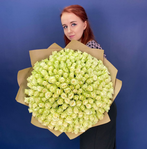 201 белая роза (Кения)