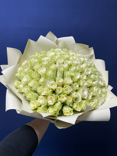 101 белая роза (Кения)