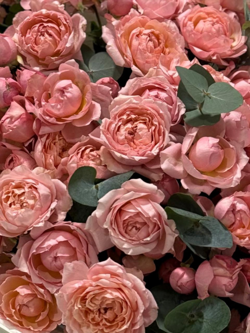 Монобукет № 555