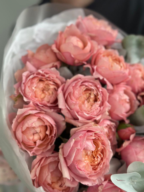 Монобукет № 554