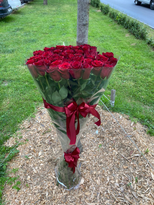 51 гигантская красная роза