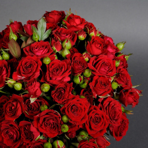 Красные кустовые розы в коробке