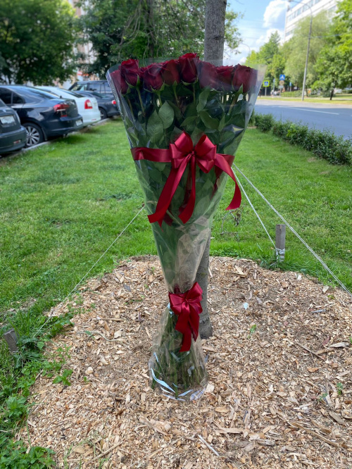 51 гигантская красная роза