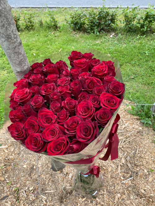 51 гигантская красная роза