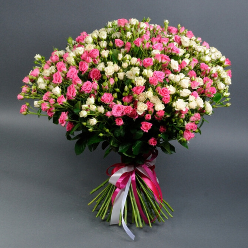 51 белая и розовая кустовая роза